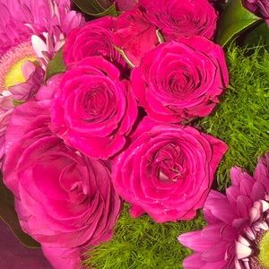 Meet your Posher, Mya